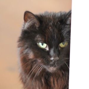 Meet your Posher, Lori